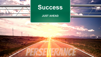 Perseverance shows the difference between failure and success