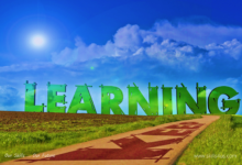 Strong Guidelines to Reinforce a Culture of Learning in Business Organizations