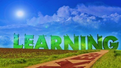 Strong Guidelines to Reinforce a Culture of Learning in Business Organizations
