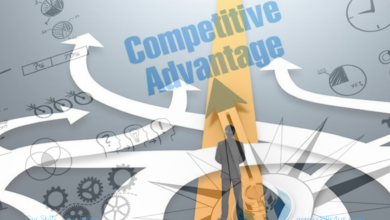 Competitive Advantage is an Added Value to the Organization