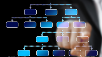 Restructuring Organizations to Maintain Them and Improve Their Competitiveness