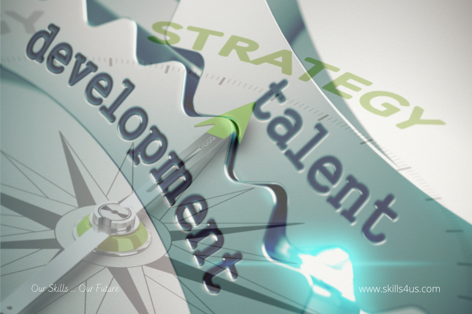 Talent Development Strategy Outlines The Organization